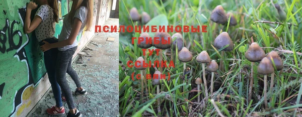 прущий лед Алзамай