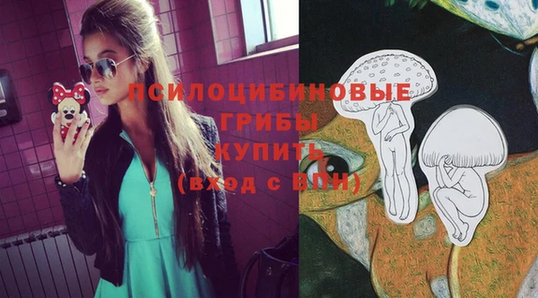 прущий лед Алзамай