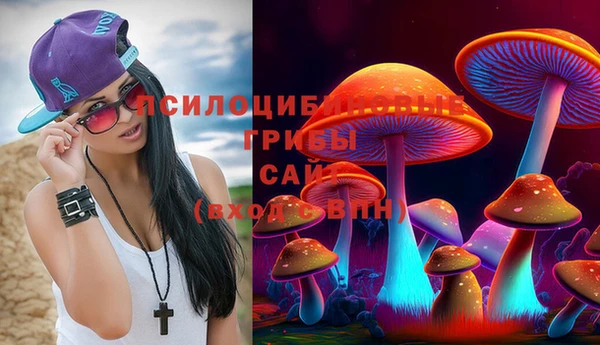 прущий лед Алзамай